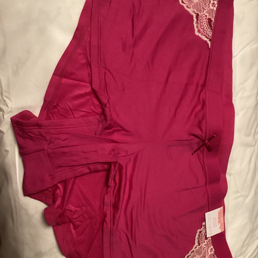 Lot of four pairs of lane Bryant NWT Panties